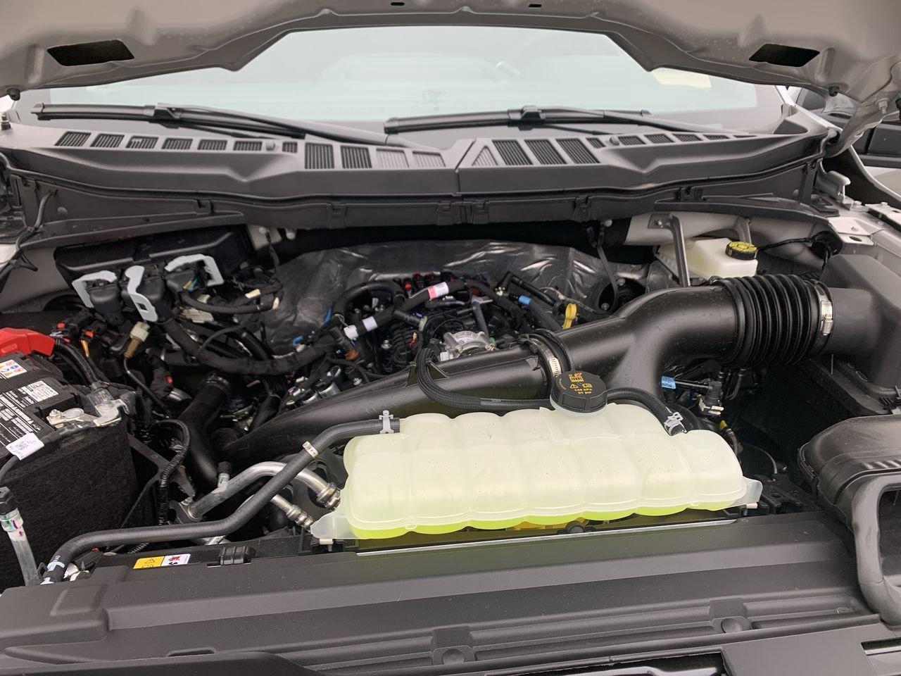 2026 Ford F-150 STX Photo