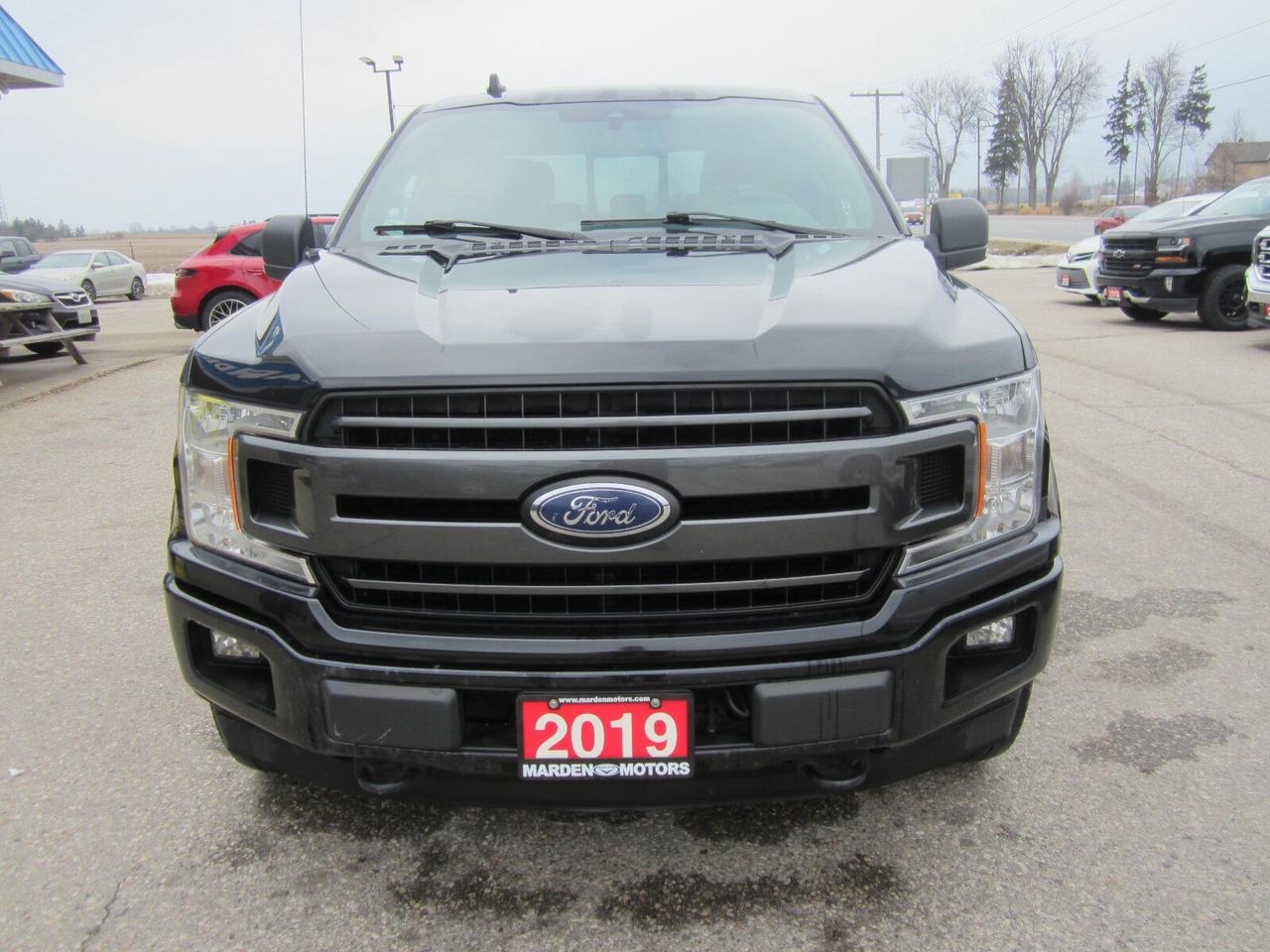 2019 Ford F-150 XLT SPORT CREW 4X4 5.0L NO ACCIDENTS Photo2