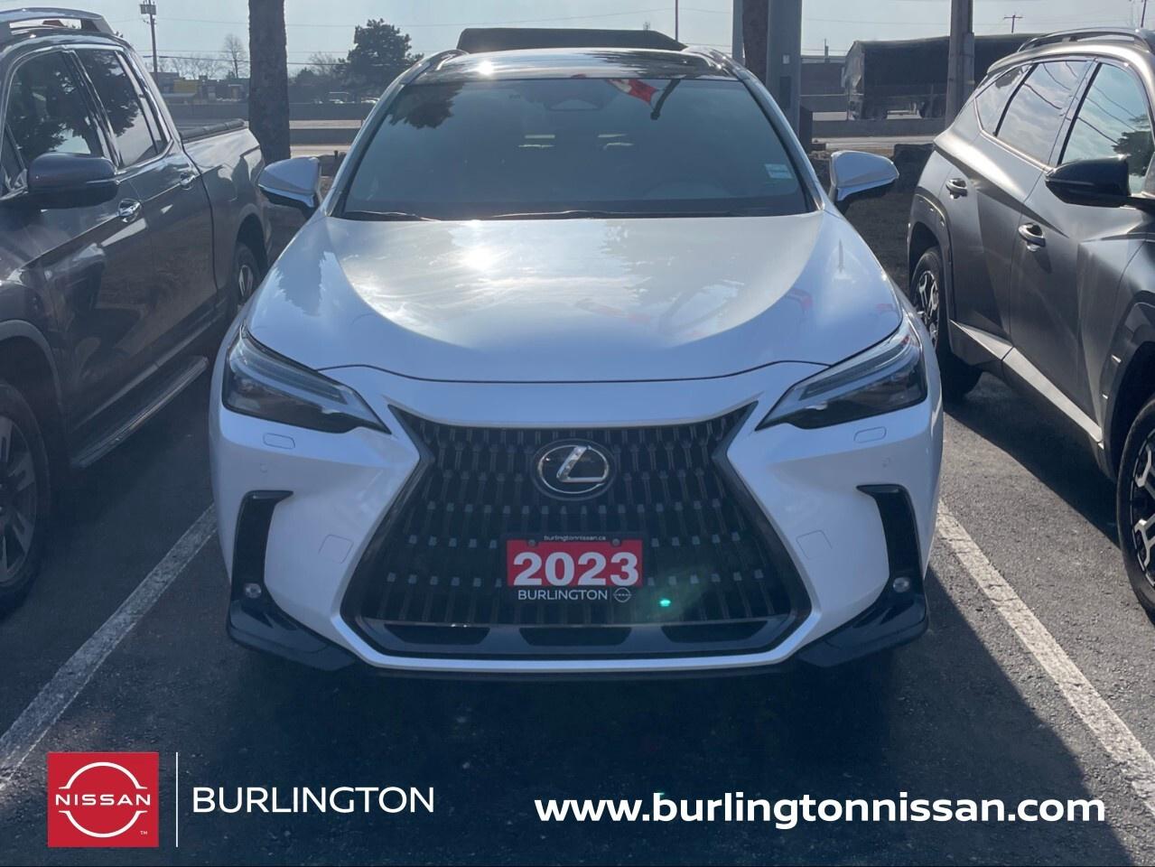 2023 Lexus NX NX 350 AWD, PREMIUM PACKAGE, RED LEATHER INTERIOR Photo