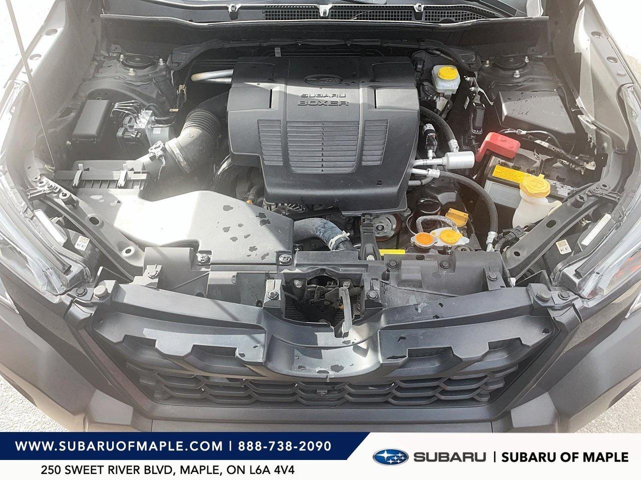 2023 Subaru Forester Wilderness CVT Photo