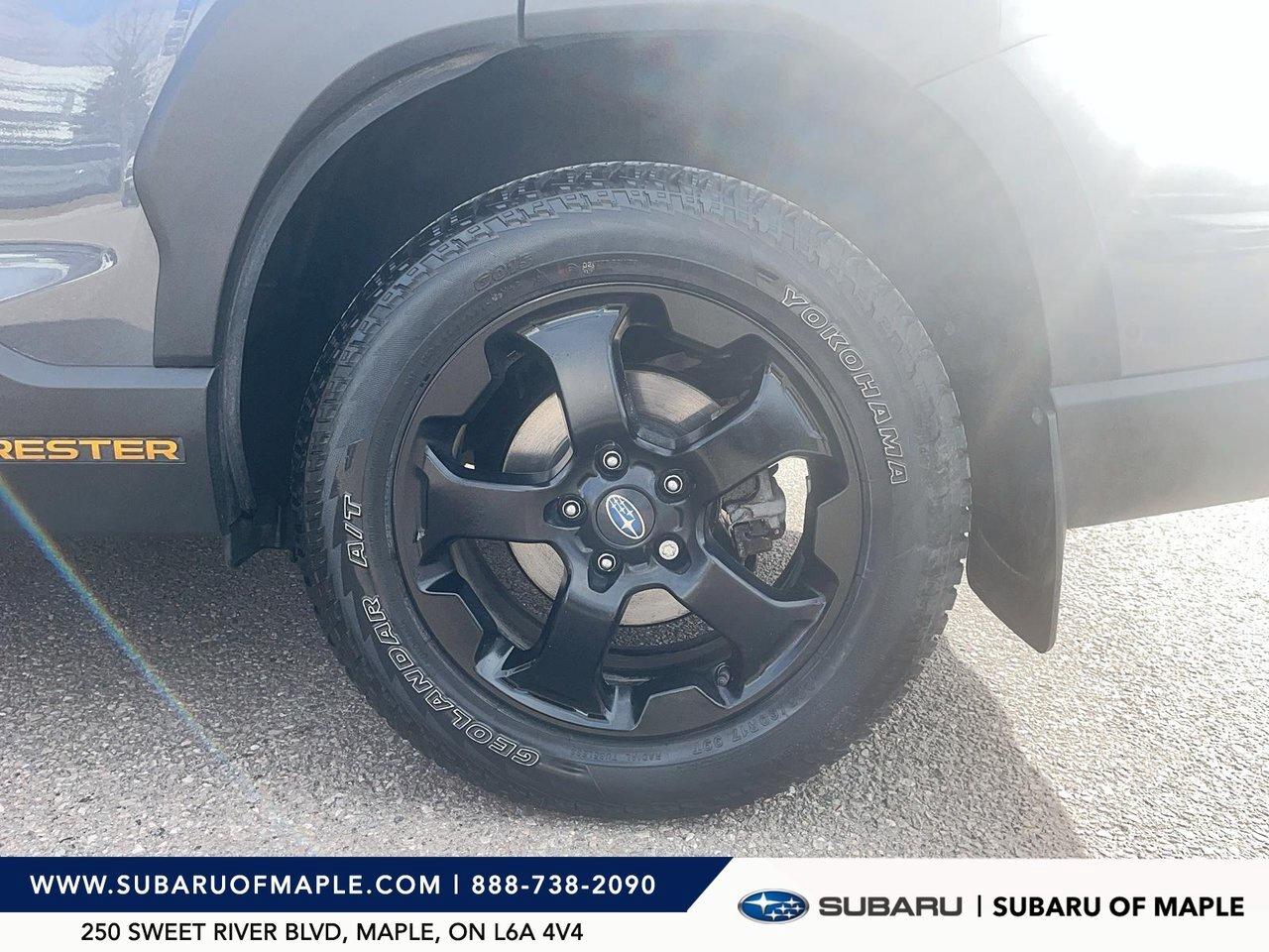 2023 Subaru Forester Wilderness CVT Photo