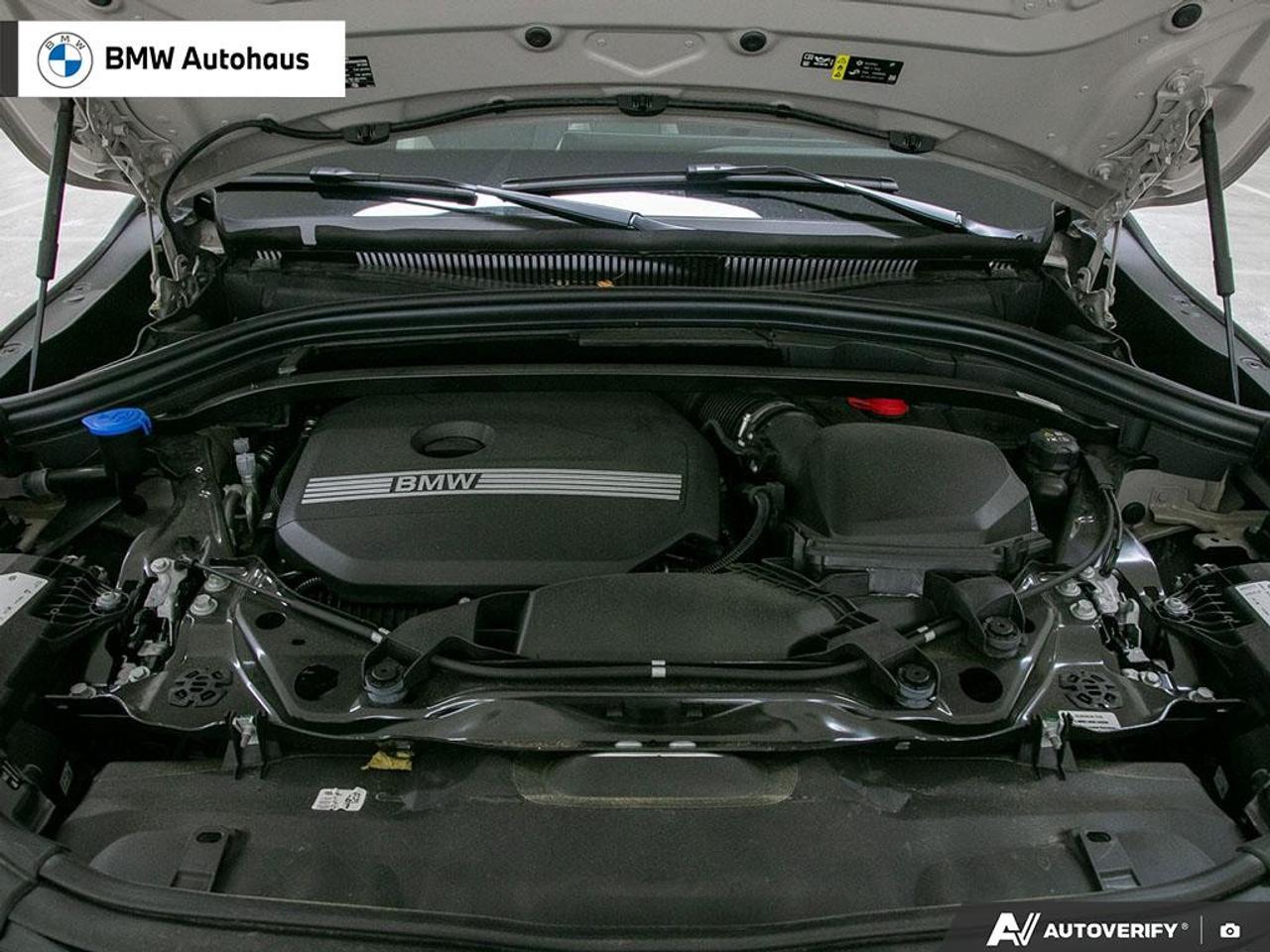 2026 BMW X2 xDrive28i Sports Activity Coupe Photo