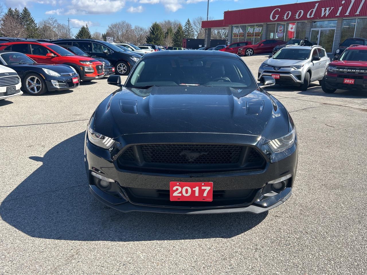 2017 Ford Mustang GT PREMIUM, 5 LITER, AUTOMATIC, CLEAN CARFAX! Photo