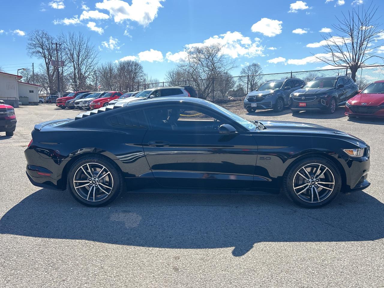 2017 Ford Mustang GT PREMIUM, 5 LITER, AUTOMATIC, CLEAN CARFAX! Photo4