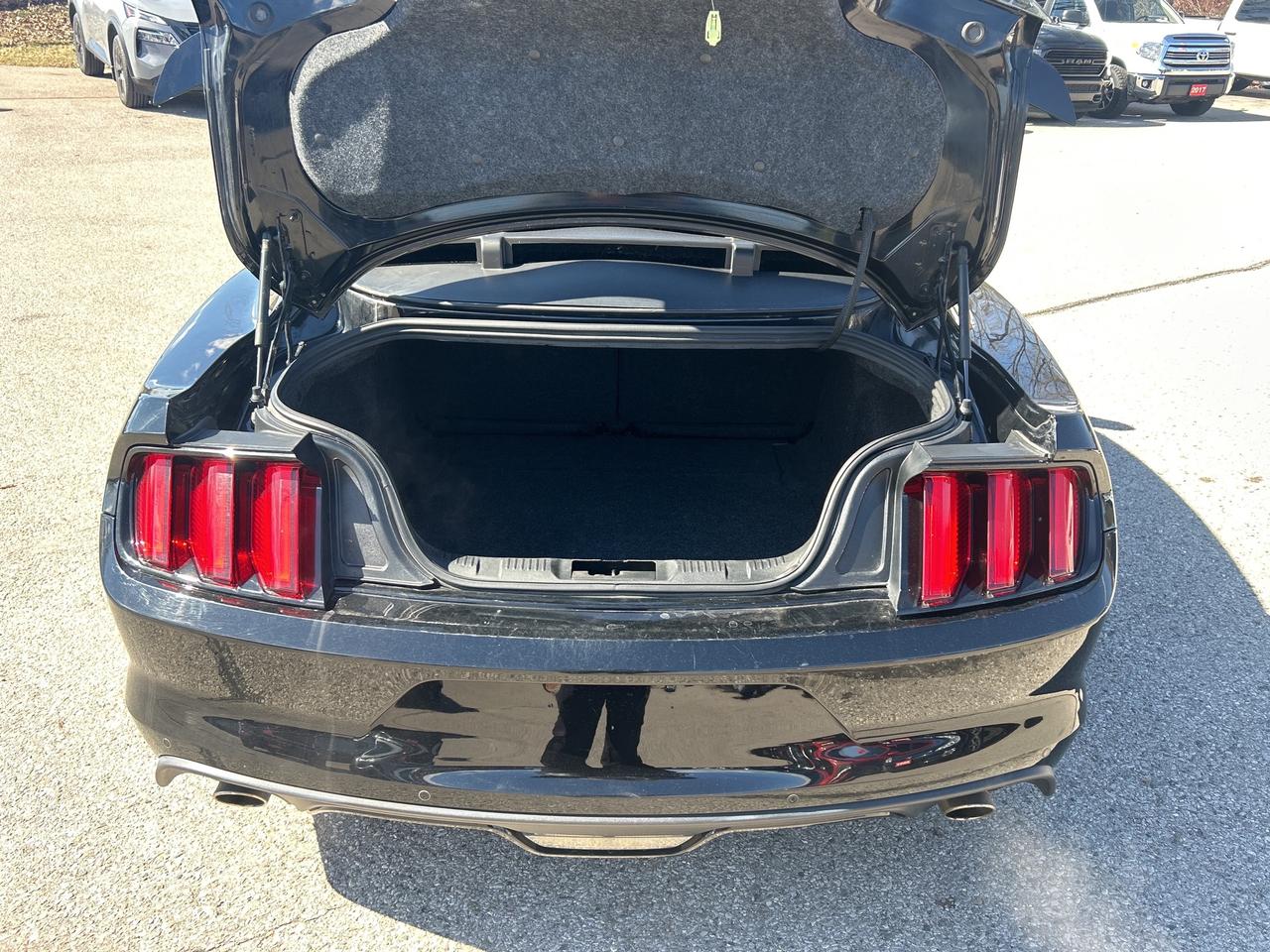 2017 Ford Mustang GT PREMIUM, 5 LITER, AUTOMATIC, CLEAN CARFAX! Photo