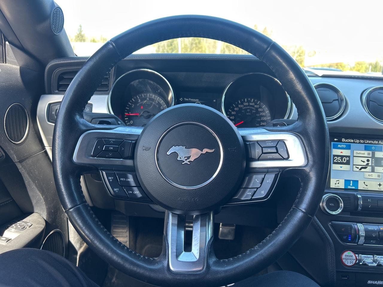 2017 Ford Mustang GT PREMIUM, 5 LITER, AUTOMATIC, CLEAN CARFAX! Photo