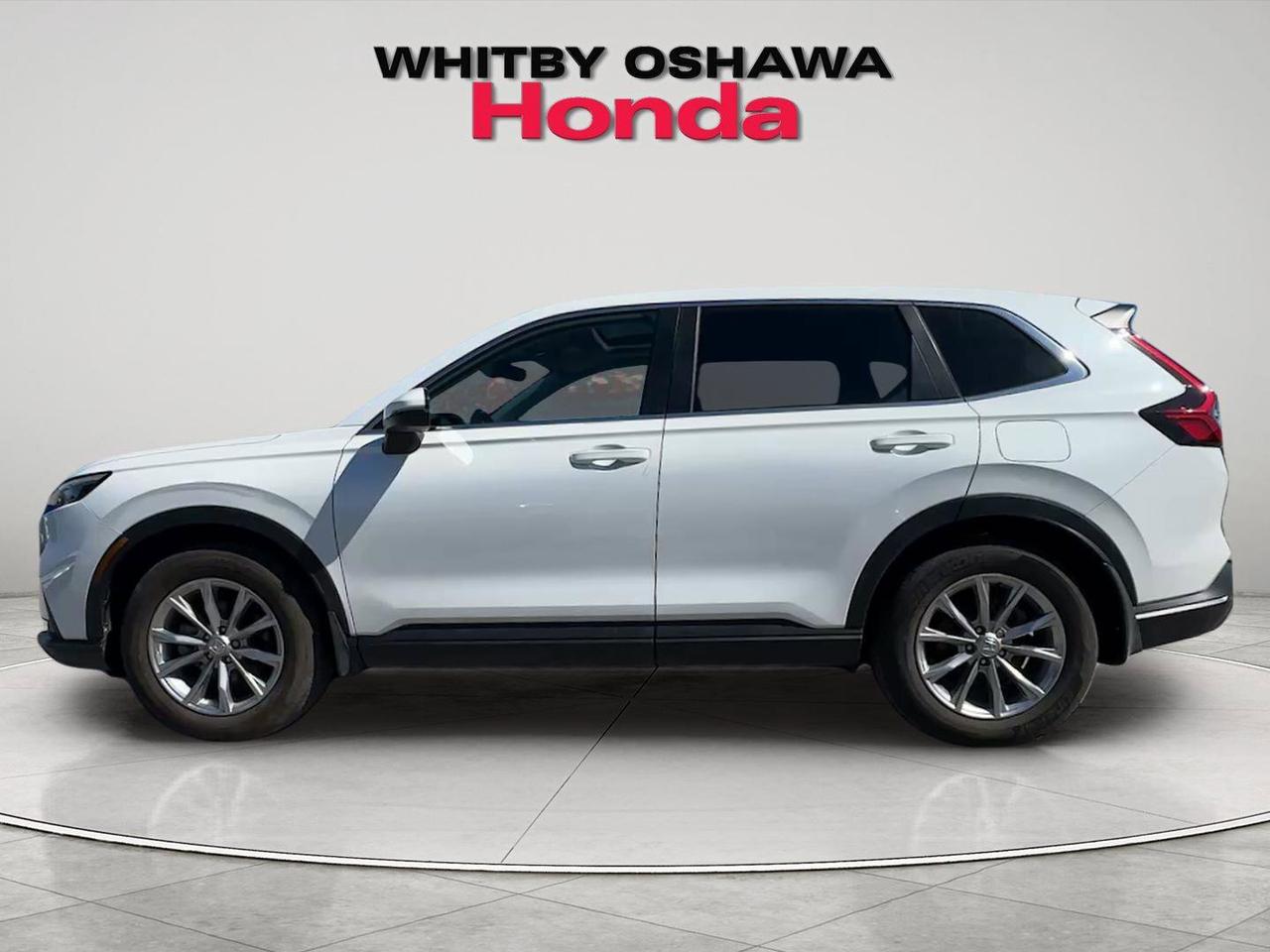2023 Honda CR-V EX-L Photo