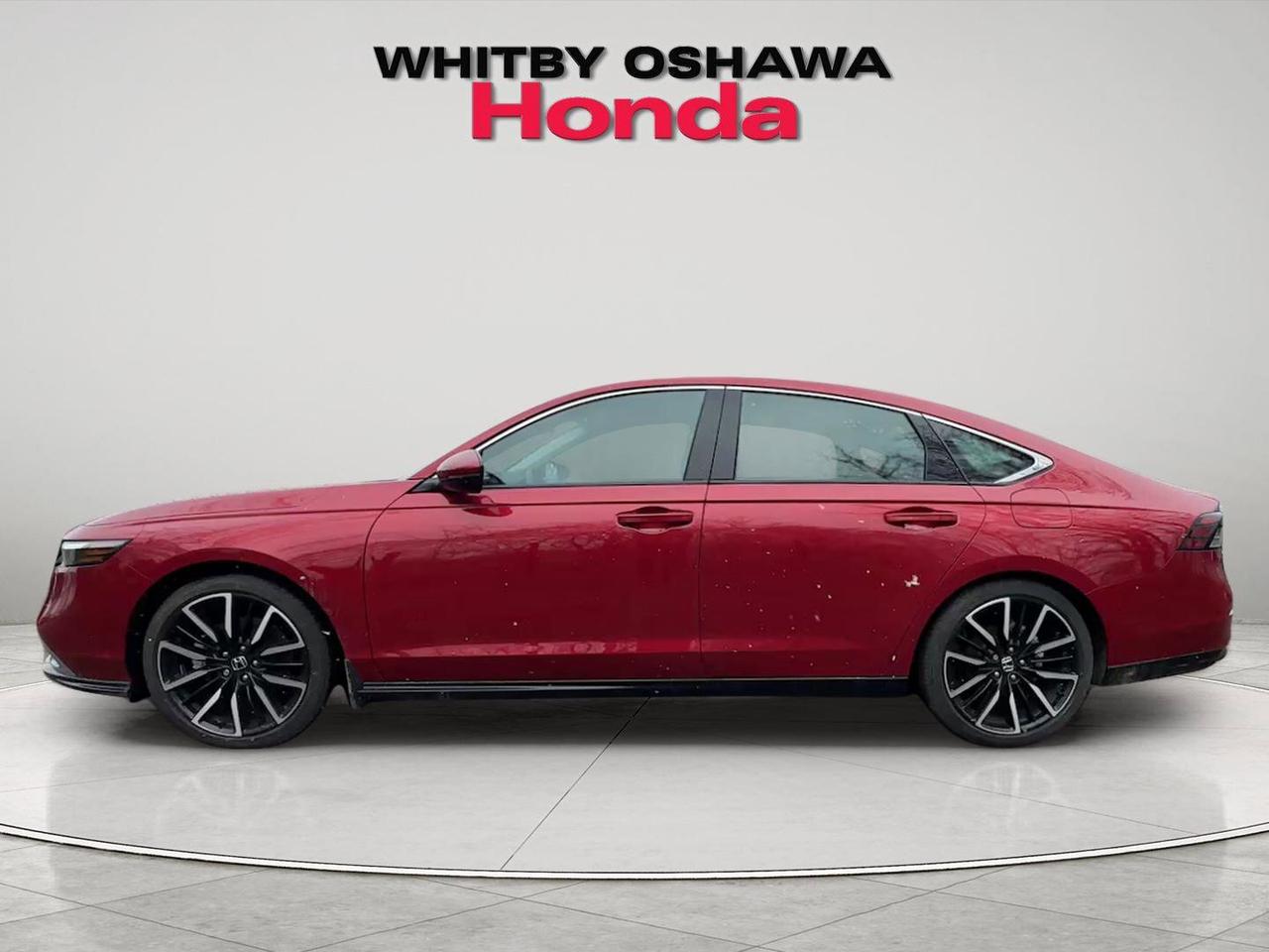 2025 Honda Accord Hybrid TOURING Photo