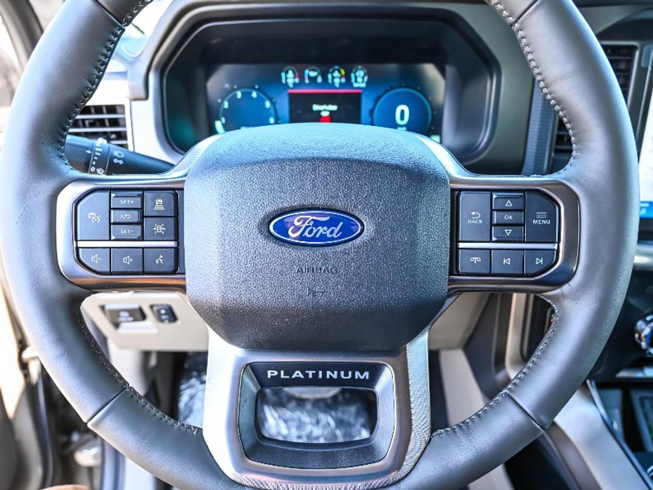 2025 Ford F-150 Platinum Photo