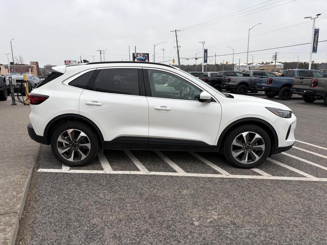 2024 Ford Escape Platinum Photo3