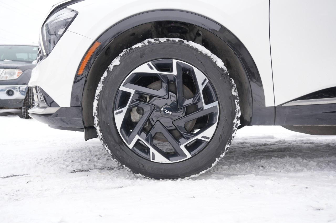 2024 Kia Sportage Plug-In Hybrid EX Premium AWD Photo