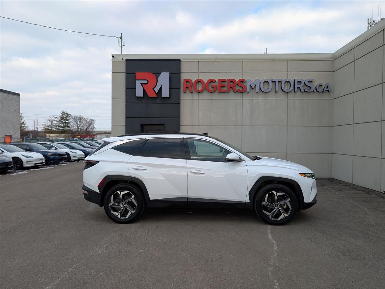 2023 Hyundai Tucson Hybrid ULTIMATE AWD - PANO ROOF - NAVI - TECH FEATS Photo