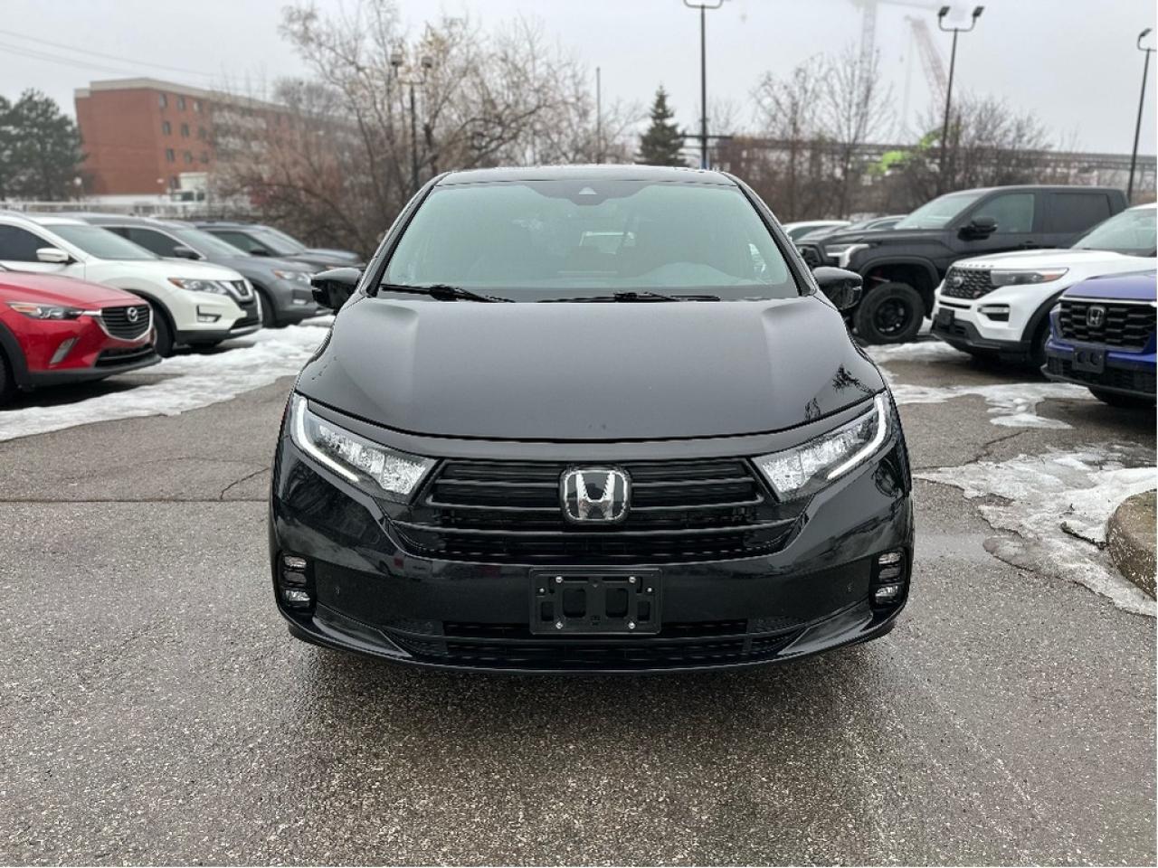2023 Honda Odyssey Black Edition Photo