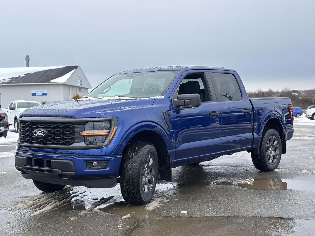 2026 Ford F-150 STX® Photo1