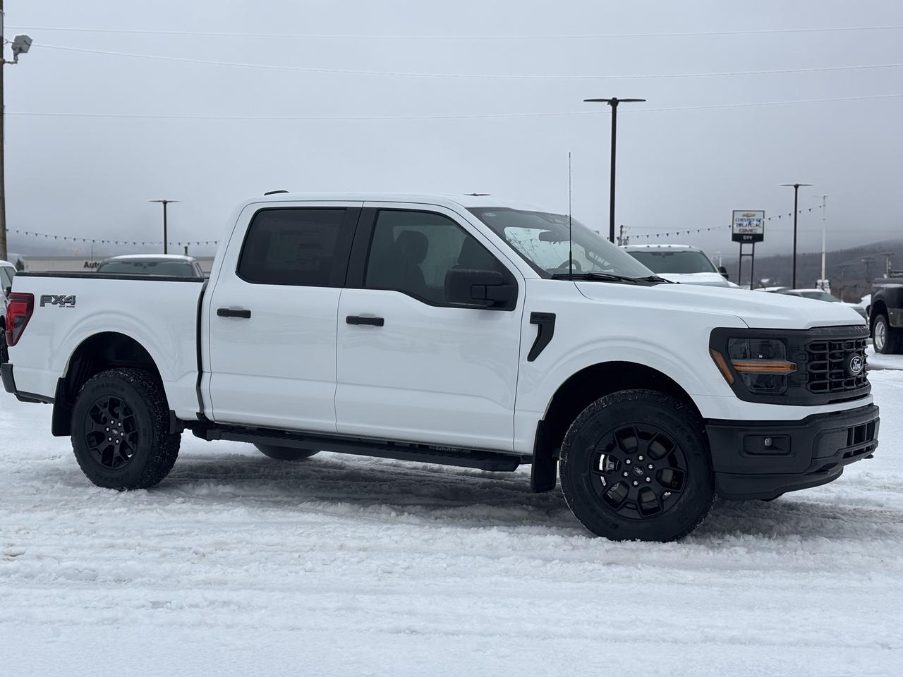 2026 Ford F-150 STX® Photo0