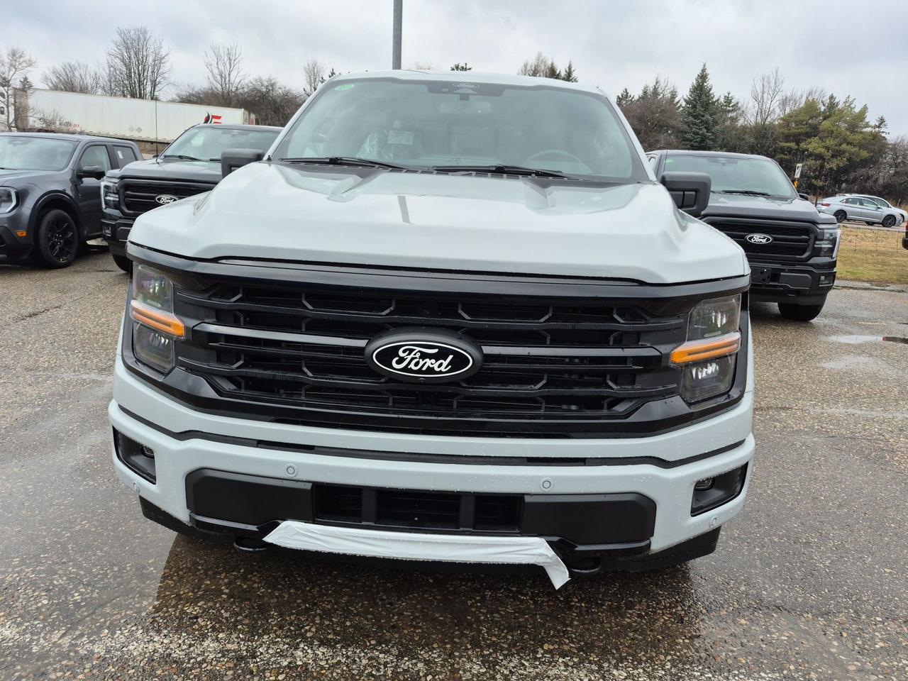 2026 Ford F-150 XLT, BLACK PKG PLUS, SPRAY-IN BEDLINER, 360 CAMERA Photo