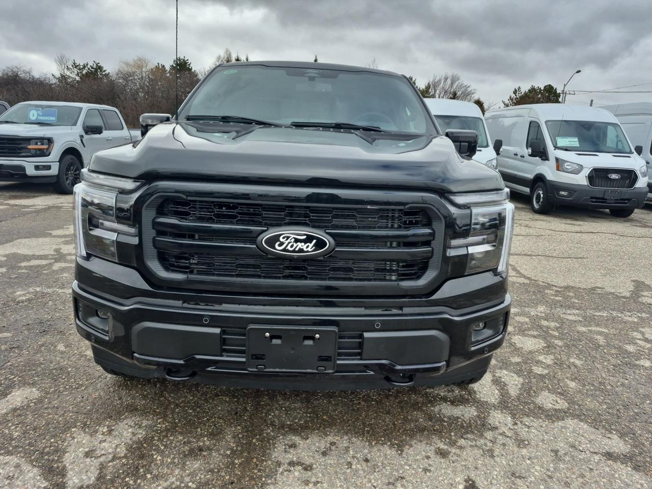 2026 Ford F-150 LARIAT, MOONROOK, TOW/HAUL PKG, BLACK PKG Photo1