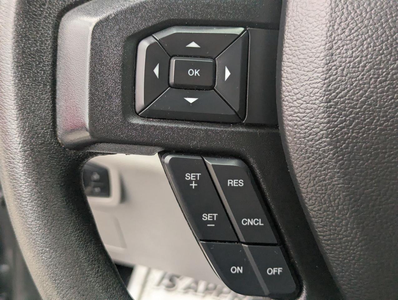 2019 Ford F-150 XLT Photo