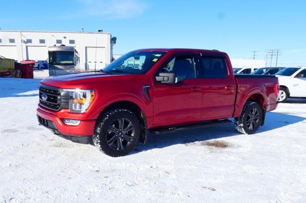 2023 Ford F-150 XLT 4WD ecoboost w/Htd cloth, pano S/R, NAV, BUC - Photo #1