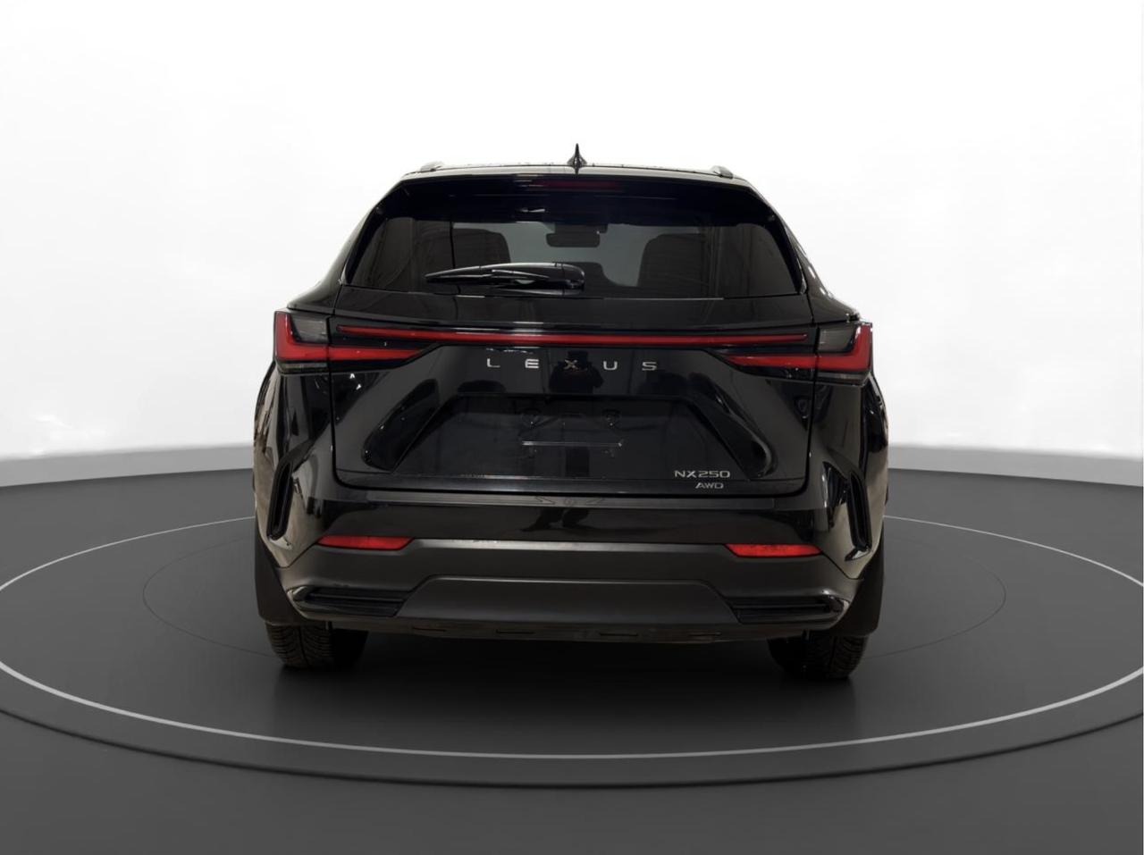 2023 Lexus NX NX 250 Photo