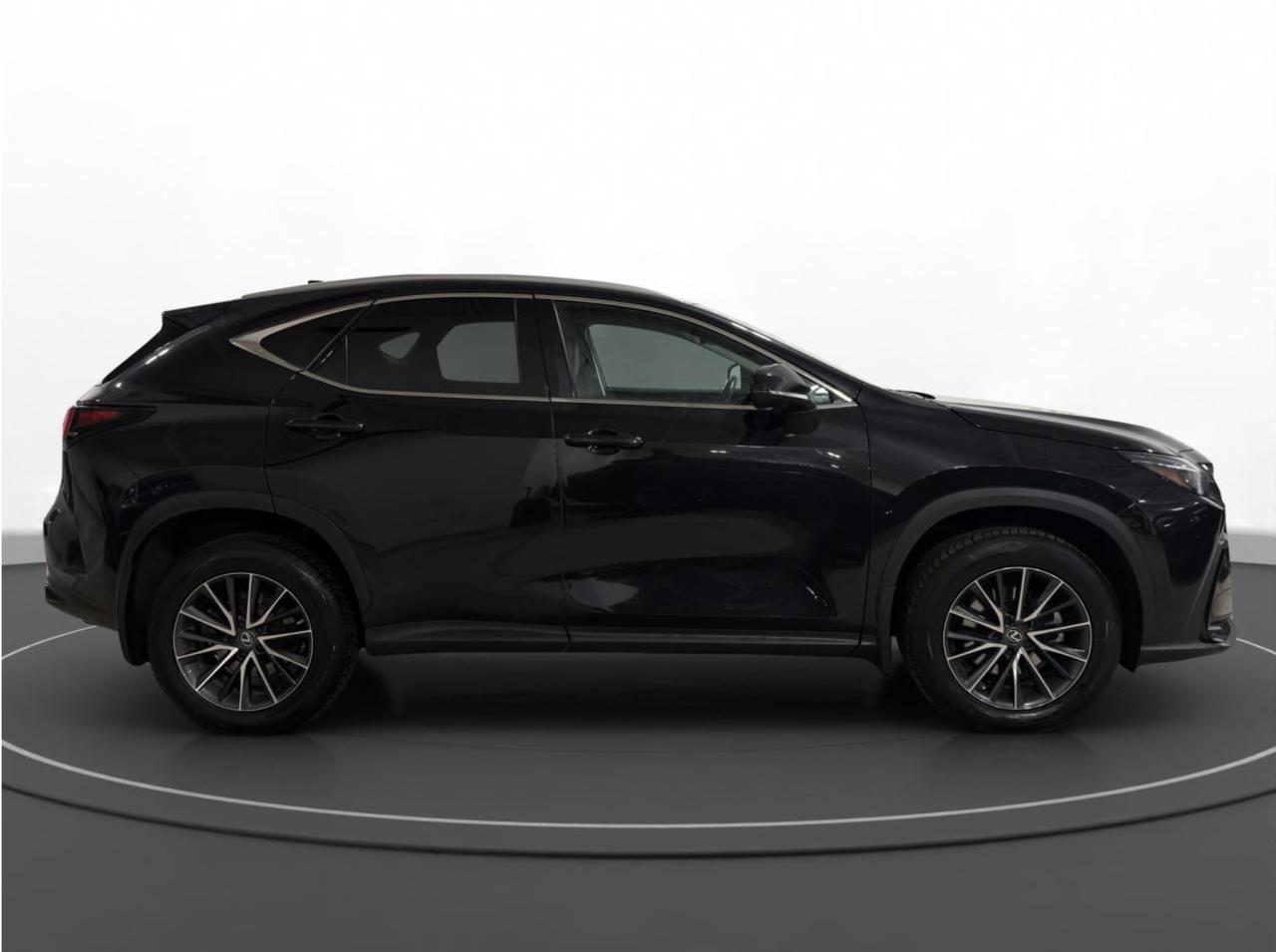2023 Lexus NX NX 250 Photo3