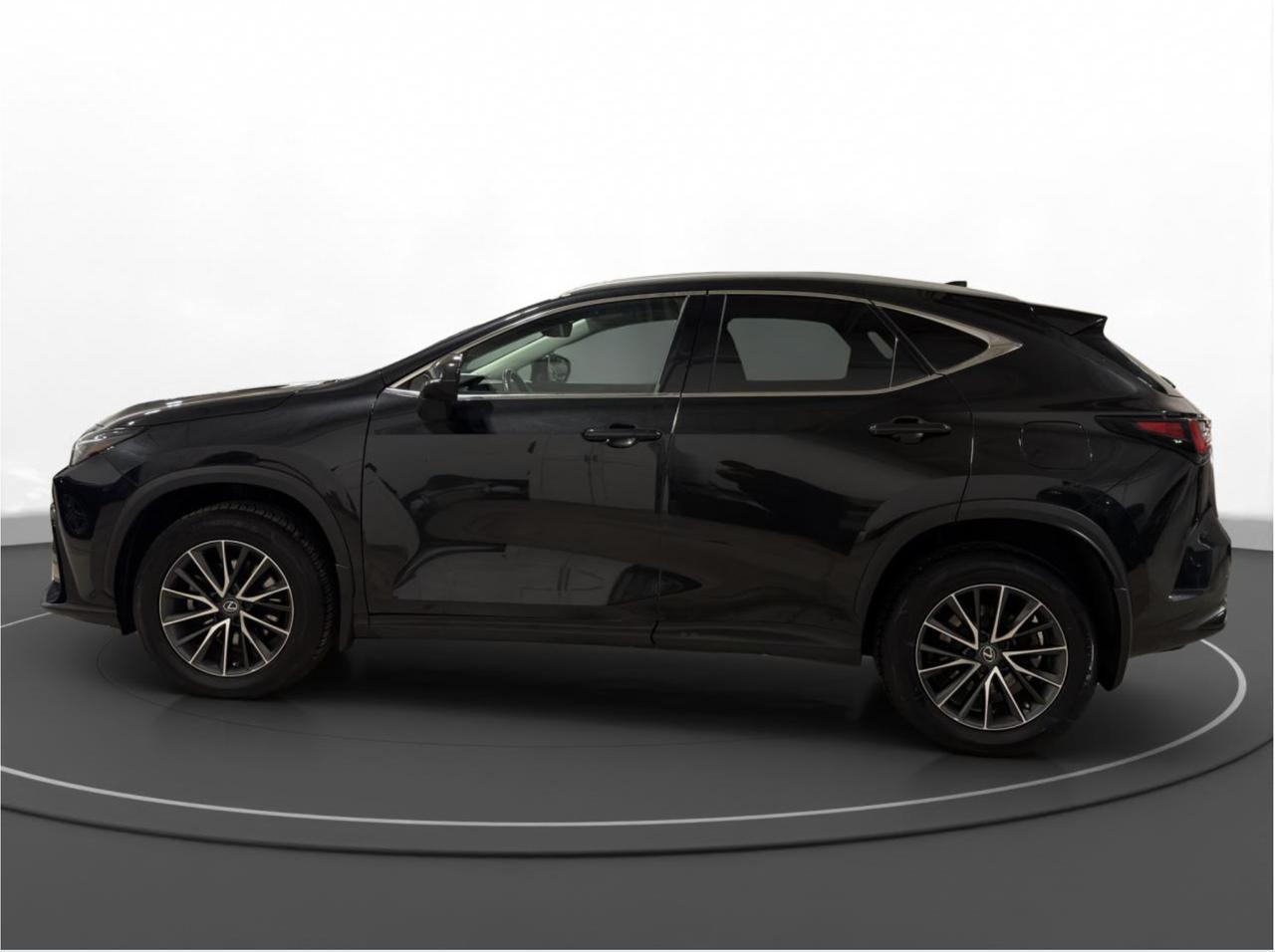 2023 Lexus NX NX 250 Photo