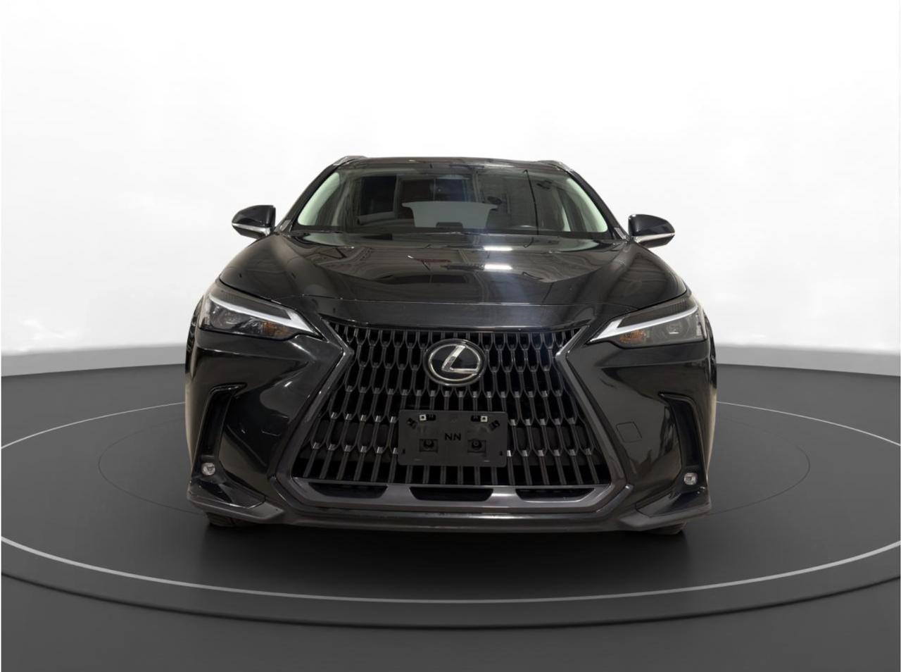 2023 Lexus NX NX 250 Photo