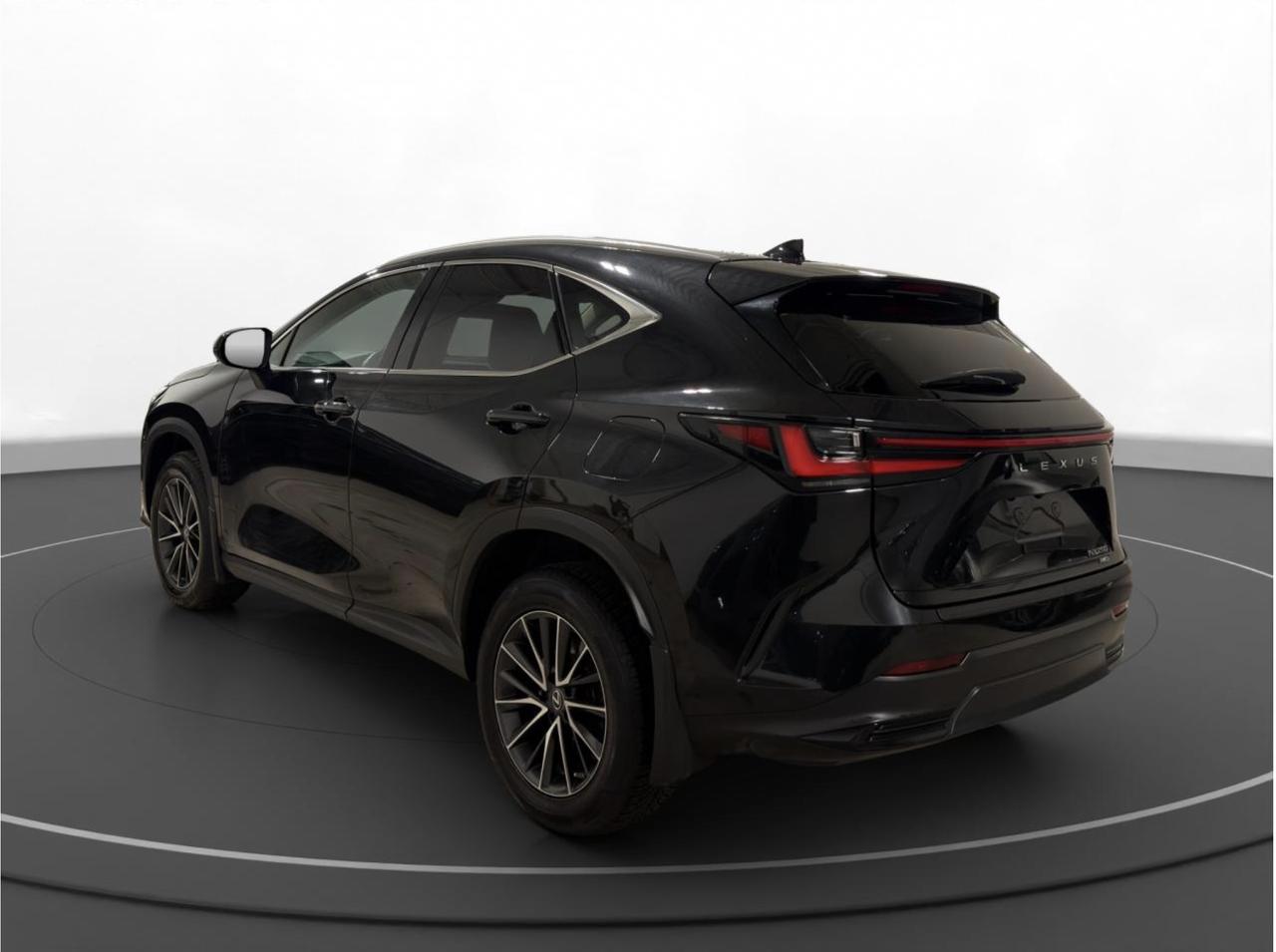 2023 Lexus NX NX 250 Photo