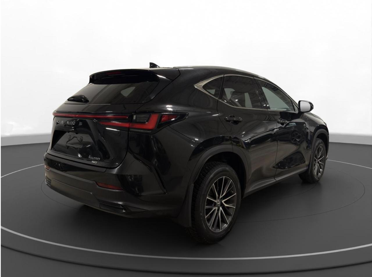 2023 Lexus NX NX 250 Photo4