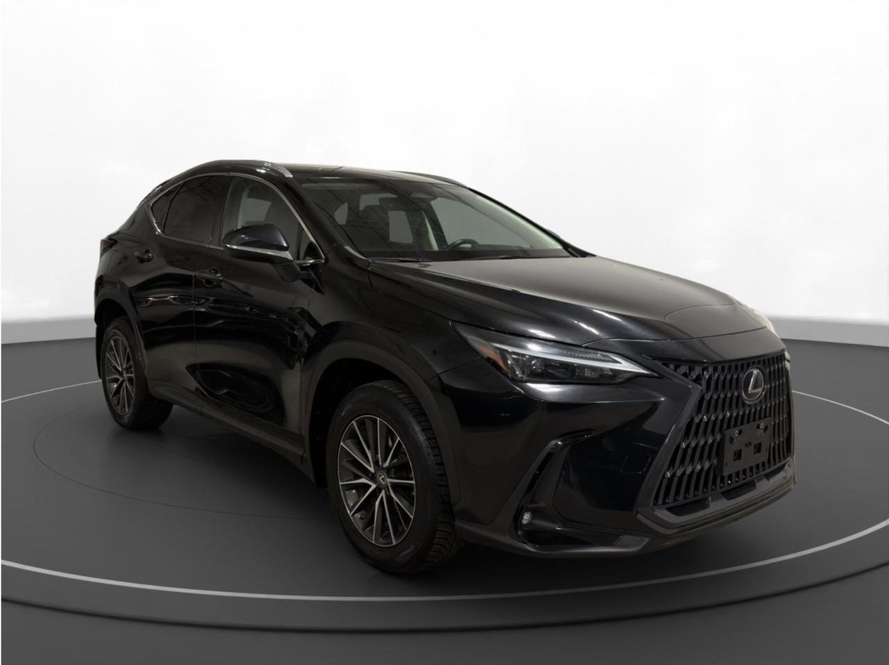 2023 Lexus NX NX 250 Photo2