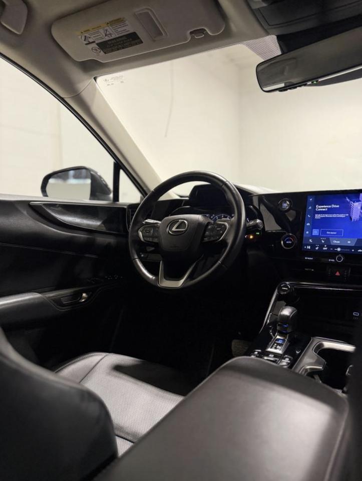 2023 Lexus NX NX 250 Photo