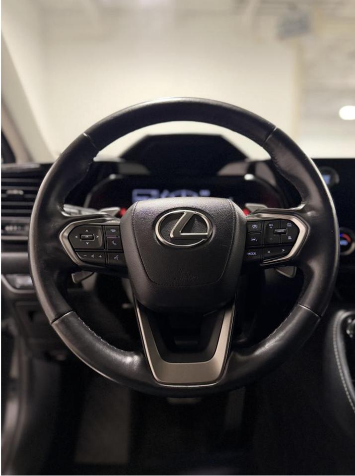 2023 Lexus NX NX 250 Photo