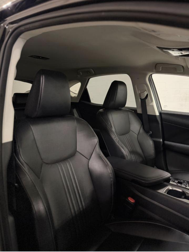 2023 Lexus NX NX 250 Photo