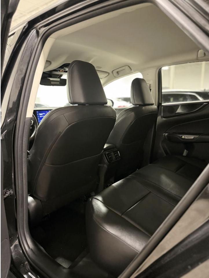 2023 Lexus NX NX 250 Photo