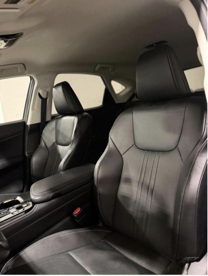 2023 Lexus NX NX 250 Photo