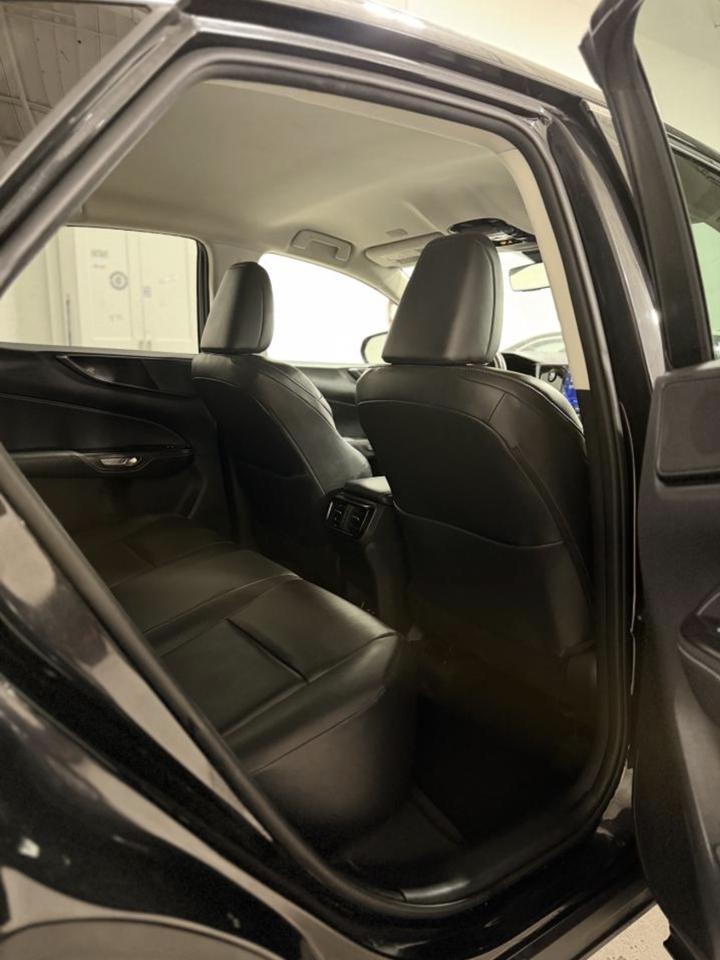 2023 Lexus NX NX 250 Photo