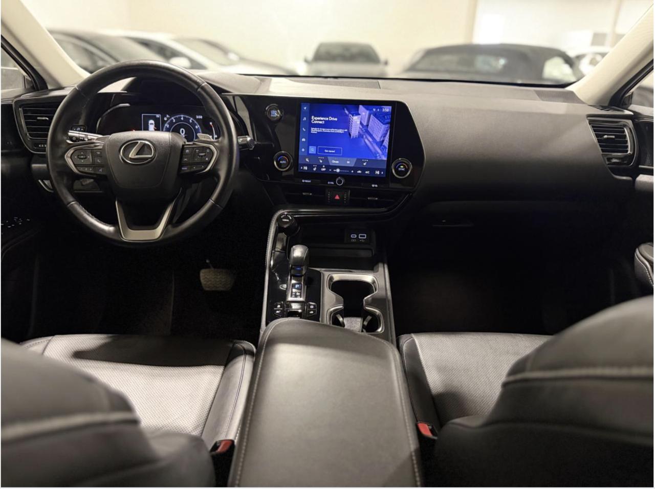 2023 Lexus NX NX 250 Photo