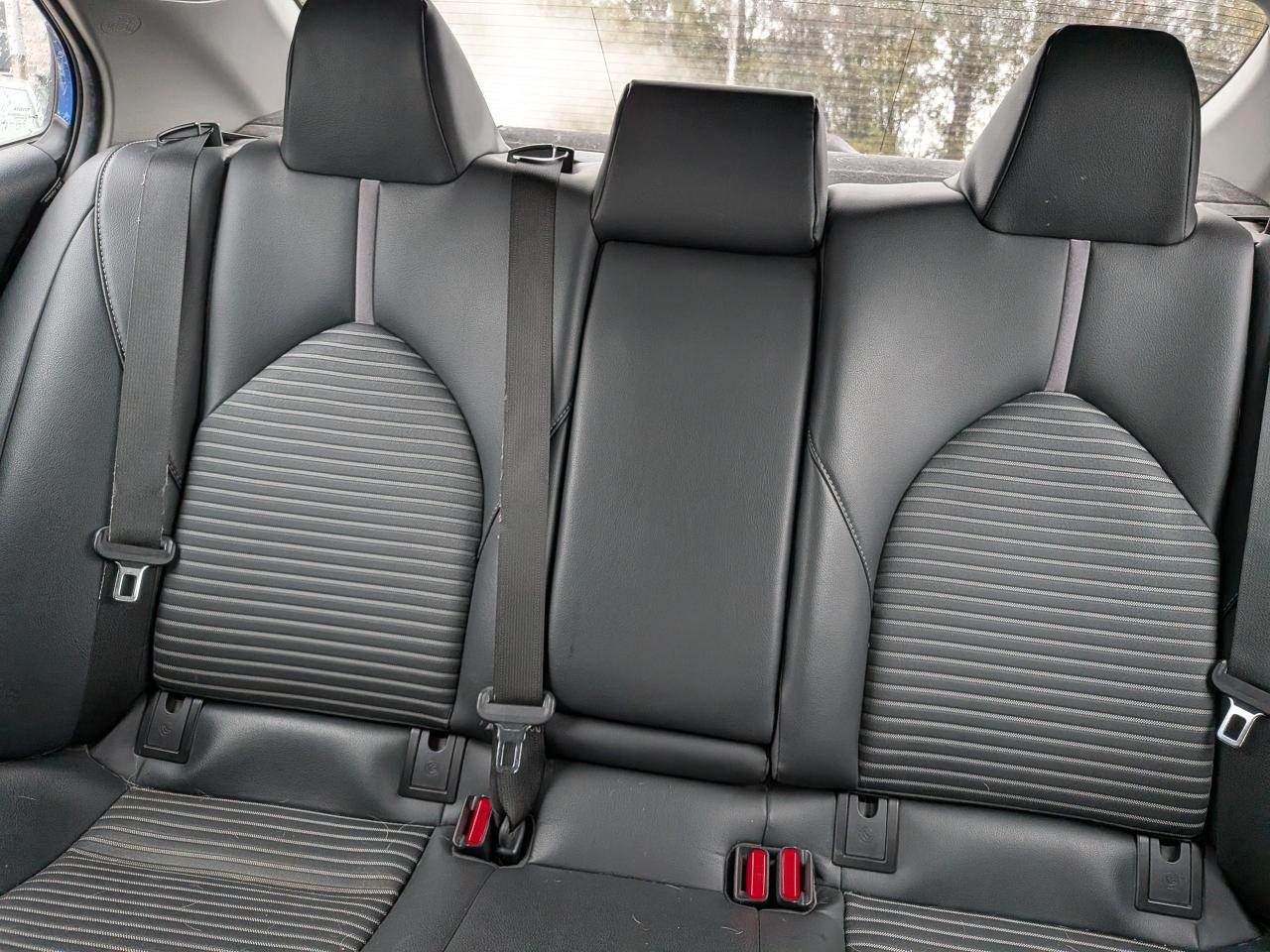 2019 Toyota Camry LE Photo