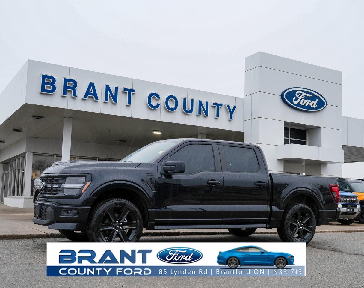 2025 Ford F-150 STX Photo