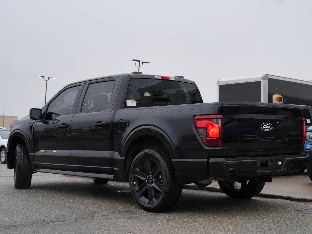 2025 Ford F-150 STX Photo4
