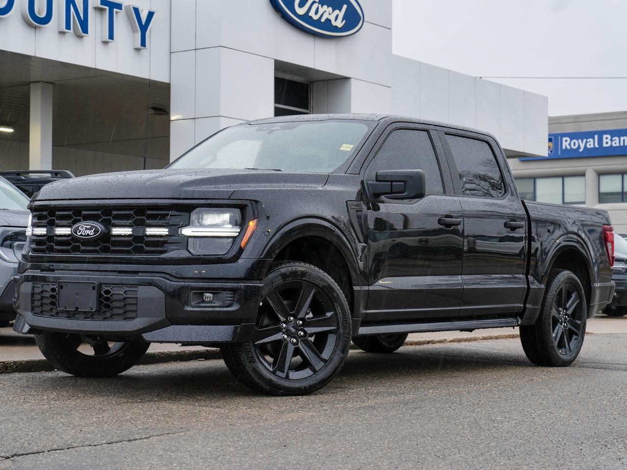 2025 Ford F-150 STX Photo