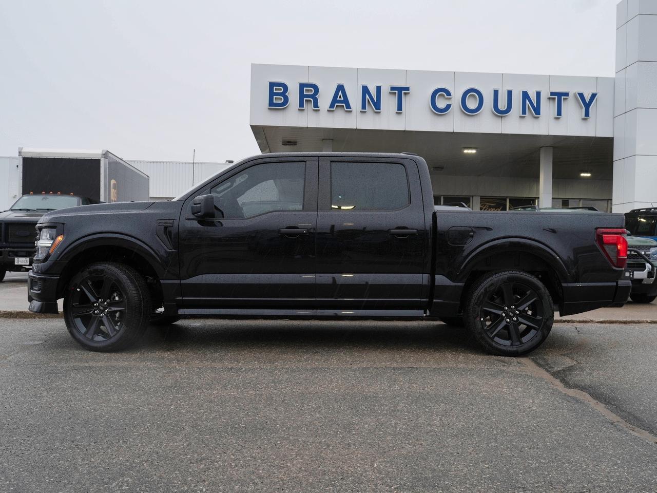 2025 Ford F-150 STX Photo