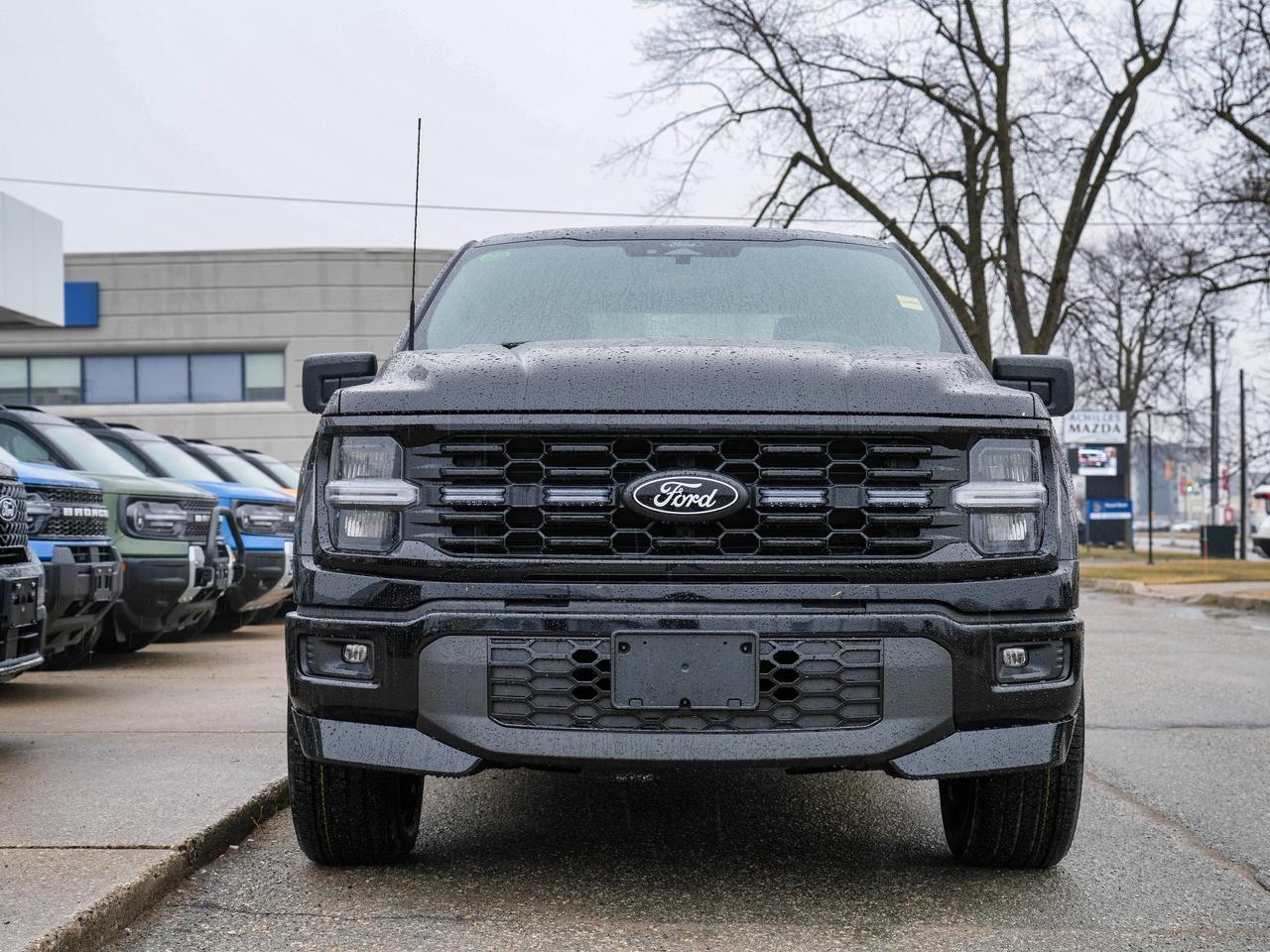 2025 Ford F-150 STX Photo2