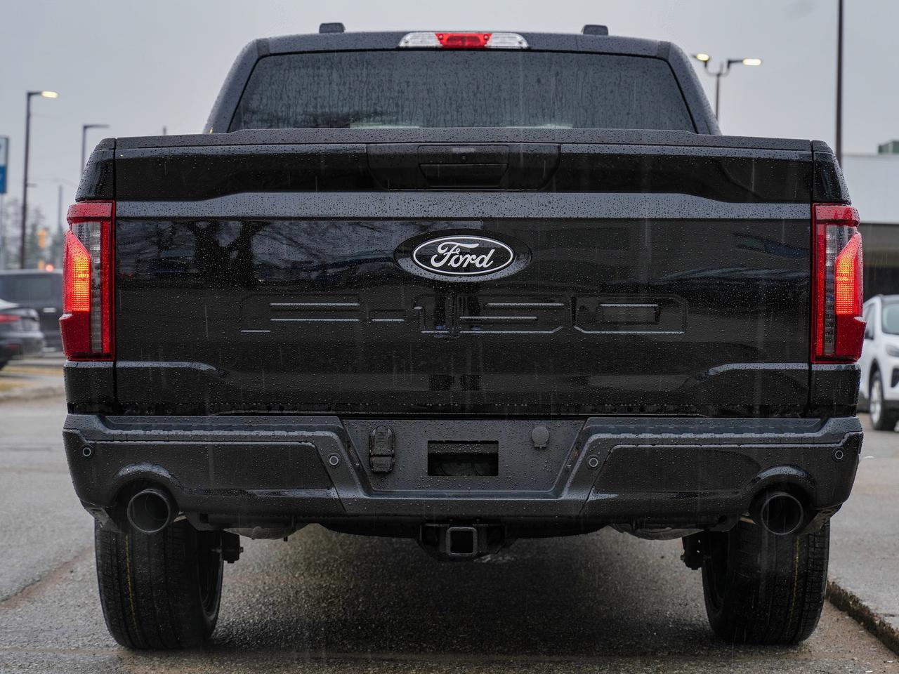 2025 Ford F-150 STX Photo