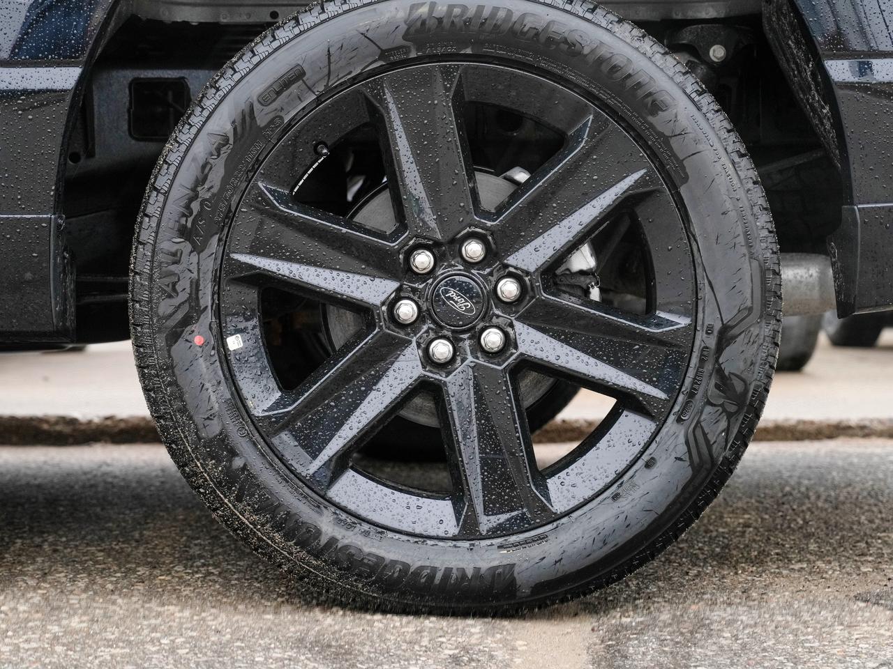 2025 Ford F-150 STX Photo