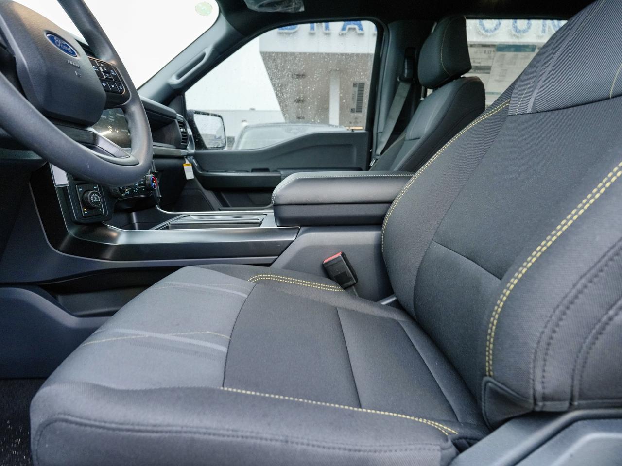 2025 Ford F-150 STX Photo