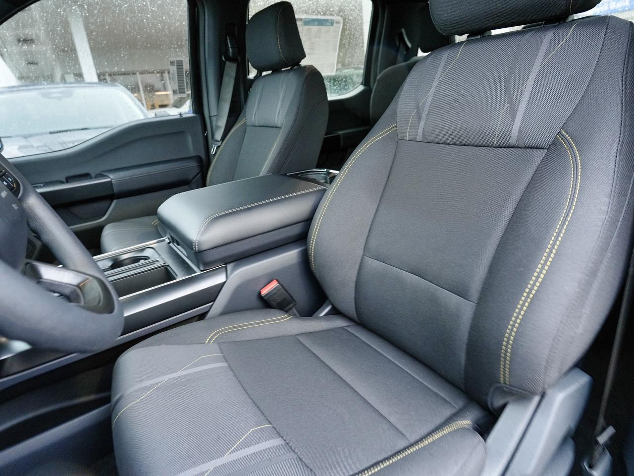 2025 Ford F-150 STX Photo