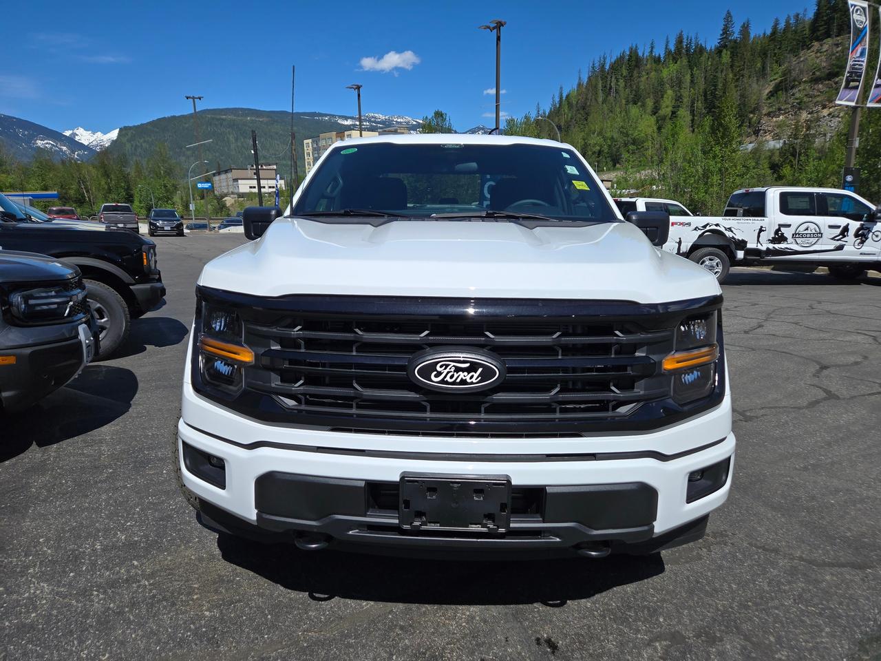 2026 Ford F-150 XLT Photo3