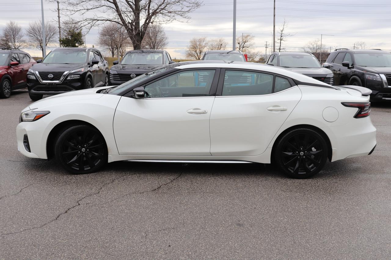 2020 Nissan MAXIMA SR SR LOW KMS SPORT SUSPENSION MOONRF SPOILER CARPLAY Photo