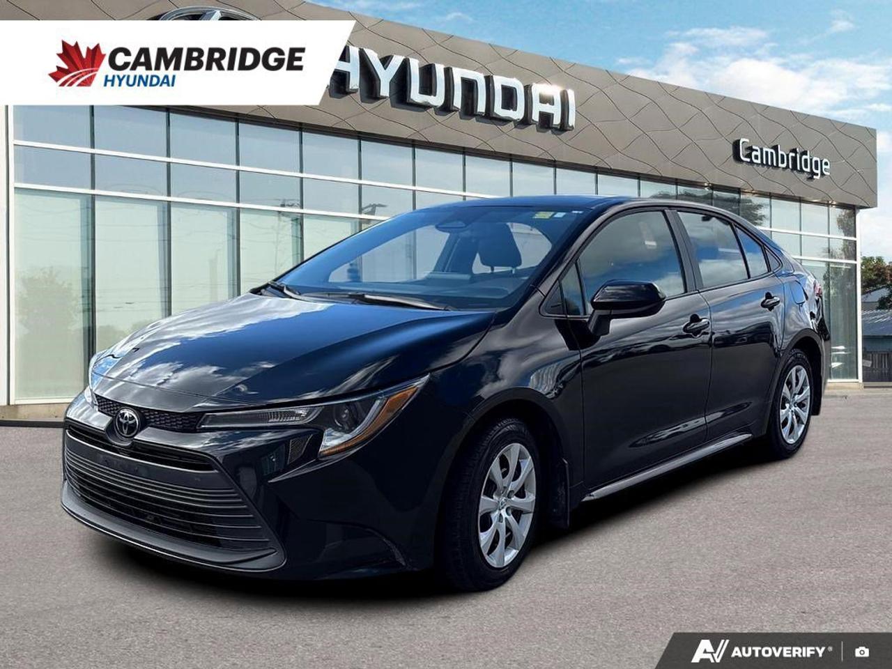2024 Toyota Corolla LE Photo